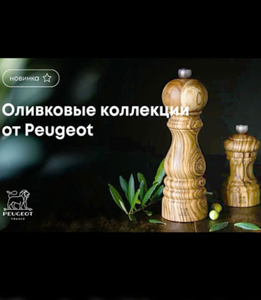 Мельницы Peugeot в Брянске