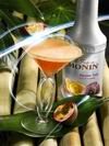 пюре Le Fruit de MONIN